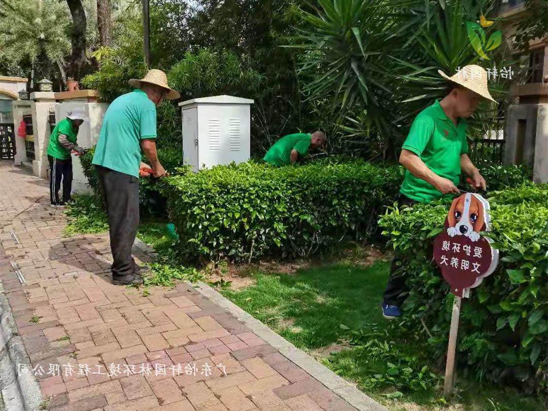 深圳龙华观湖园别墅小区绿化养护